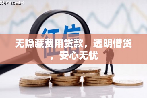 岫岩无隐藏费用贷款，透明借贷，安心无忧