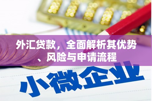 岫岩外汇贷款，全面解析其优势、风险与申请流程