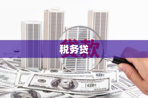 岫岩税务贷