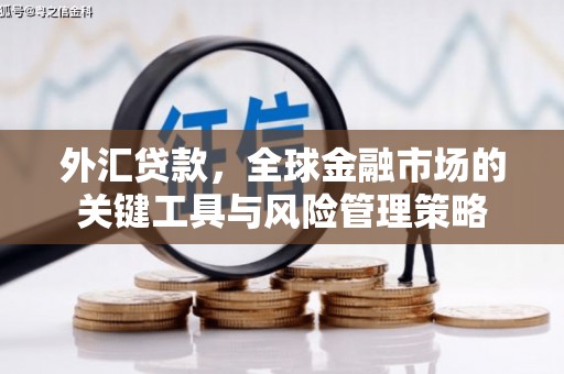 岫岩外汇贷款，全球金融市场的关键工具与风险管理策略