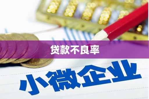 岫岩贷款不良率