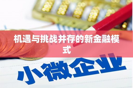 岫岩机遇与挑战并存的新金融模式