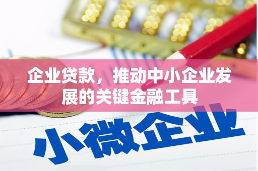 岫岩企业贷款，推动中小企业发展的关键金融工具