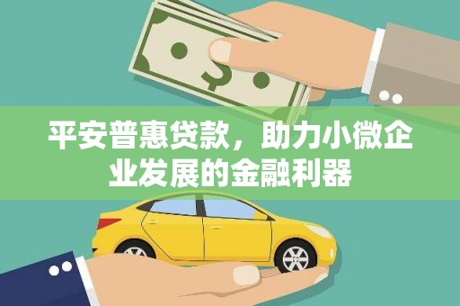 岫岩平安普惠贷款，助力小微企业发展的金融利器