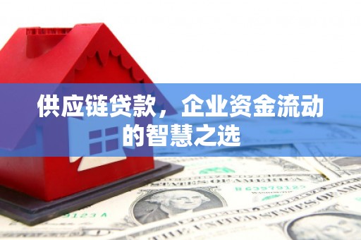 岫岩供应链贷款，企业资金流动的智慧之选