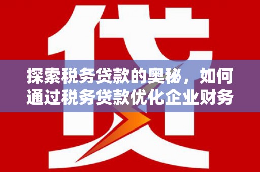 岫岩探索税务贷款的奥秘，如何通过税务贷款优化企业财务