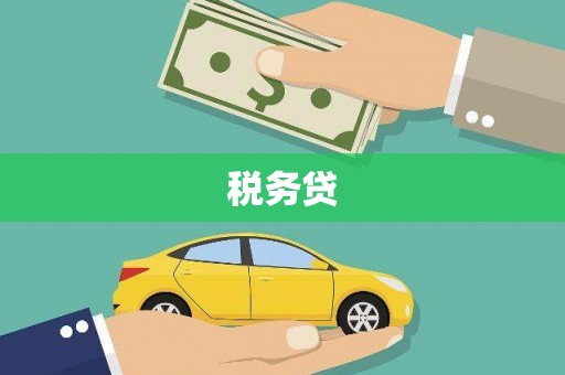 岫岩税务贷