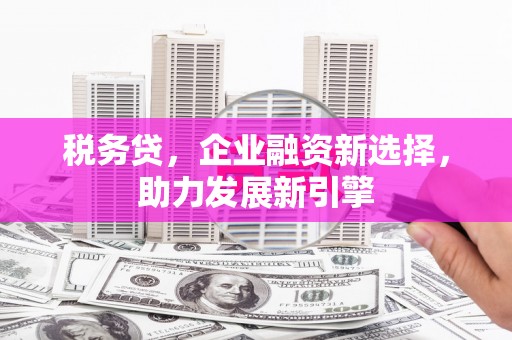 岫岩税务贷，企业融资新选择，助力发展新引擎