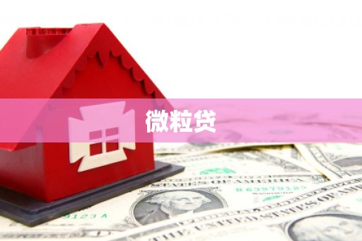 岫岩微粒贷