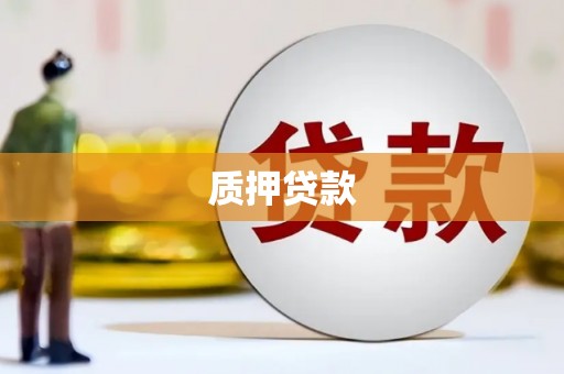 岫岩质押贷款