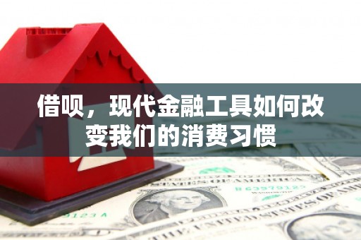 岫岩借呗，现代金融工具如何改变我们的消费习惯