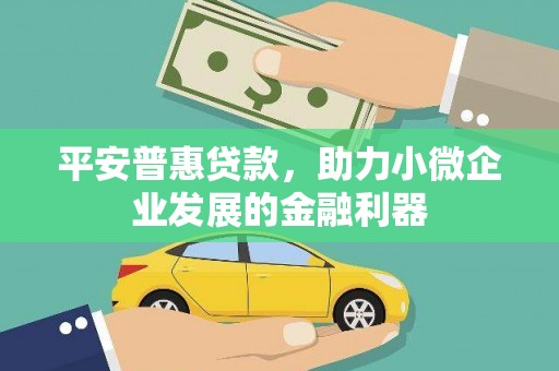 岫岩平安普惠贷款，助力小微企业发展的金融利器