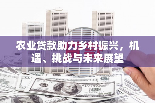 岫岩农业贷款助力乡村振兴，机遇、挑战与未来展望