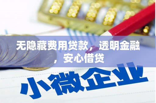 岫岩无隐藏费用贷款，透明金融，安心借贷