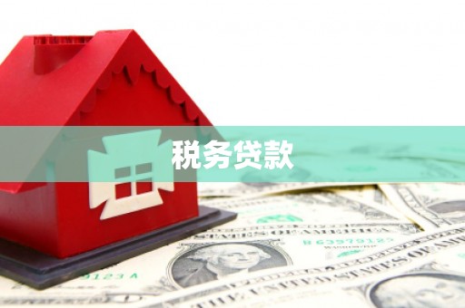 岫岩税务贷款