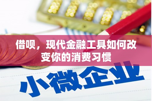 岫岩借呗，现代金融工具如何改变你的消费习惯