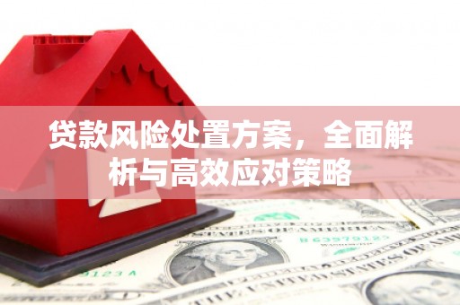岫岩贷款风险处置方案，全面解析与高效应对策略
