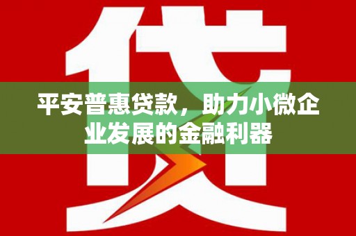 岫岩平安普惠贷款，助力小微企业发展的金融利器