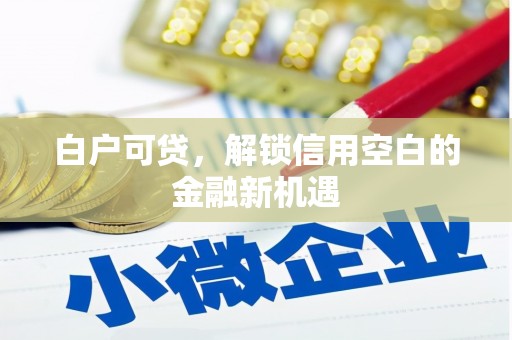 岫岩白户可贷，解锁信用空白的金融新机遇