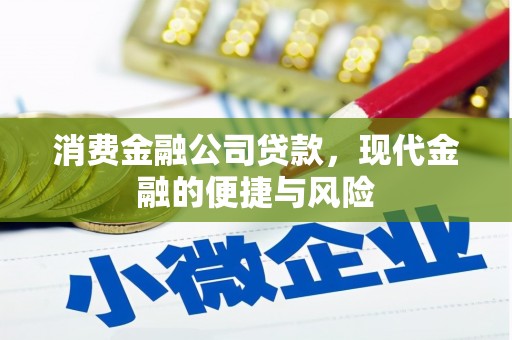 岫岩消费金融公司贷款，现代金融的便捷与风险