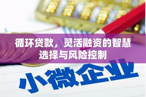 岫岩循环贷款，灵活融资的智慧选择与风险控制