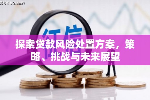 岫岩探索贷款风险处置方案，策略、挑战与未来展望