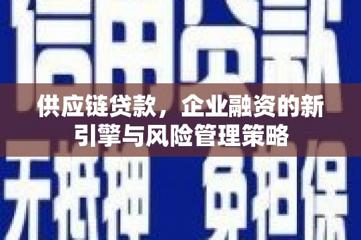 岫岩供应链贷款，企业融资的新引擎与风险管理策略