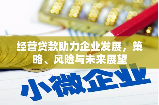 岫岩经营贷款助力企业发展，策略、风险与未来展望