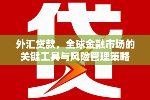 岫岩外汇贷款，全球金融市场的关键工具与风险管理策略