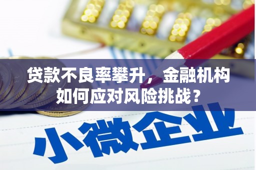 岫岩贷款不良率攀升，金融机构如何应对风险挑战？
