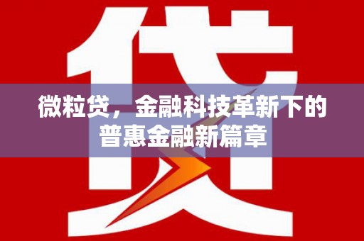 岫岩微粒贷，金融科技革新下的普惠金融新篇章