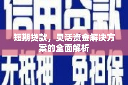 岫岩短期贷款，灵活资金解决方案的全面解析