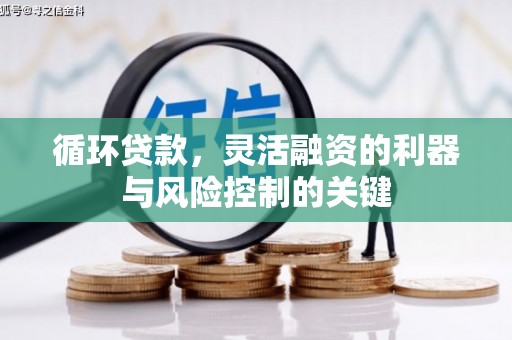 岫岩循环贷款，灵活融资的利器与风险控制的关键