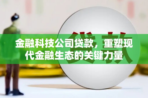 岫岩金融科技公司贷款，重塑现代金融生态的关键力量