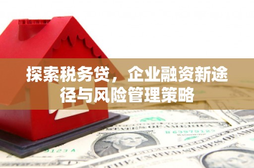 岫岩探索税务贷，企业融资新途径与风险管理策略