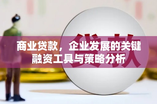 岫岩商业贷款，企业发展的关键融资工具与策略分析