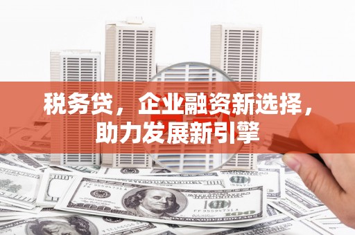 岫岩税务贷，企业融资新选择，助力发展新引擎