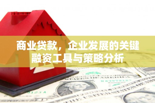 岫岩商业贷款，企业发展的关键融资工具与策略分析