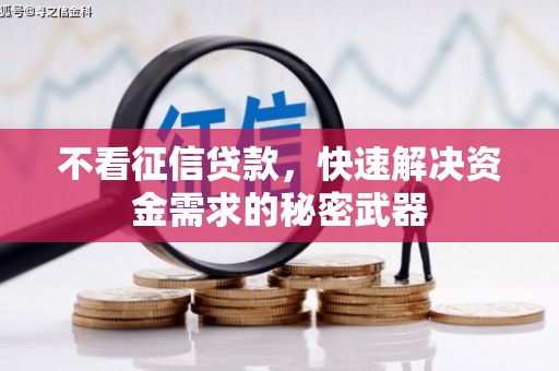 岫岩不看征信贷款，快速解决资金需求的秘密武器