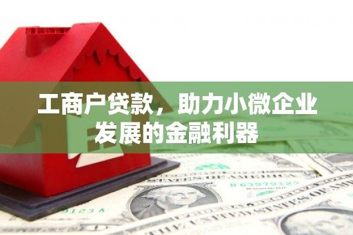 岫岩工商户贷款，助力小微企业发展的金融利器