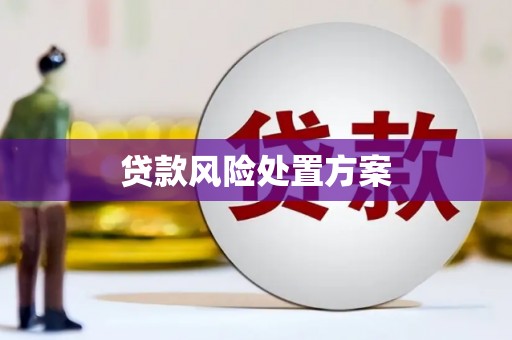 岫岩贷款风险处置方案