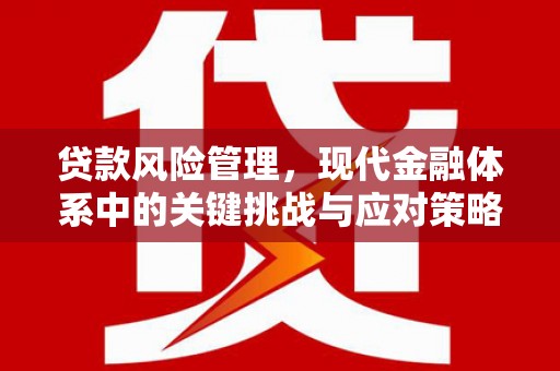 岫岩贷款风险管理，现代金融体系中的关键挑战与应对策略