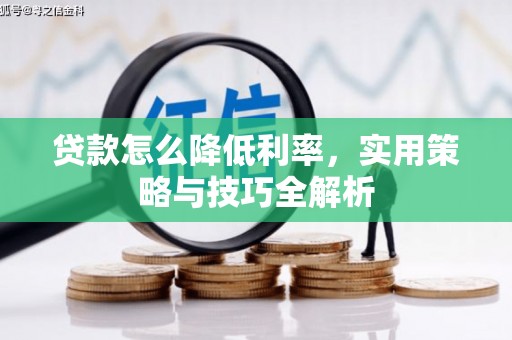 岫岩贷款怎么降低利率，实用策略与技巧全解析