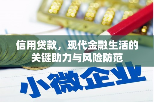 岫岩信用贷款，现代金融生活的关键助力与风险防范