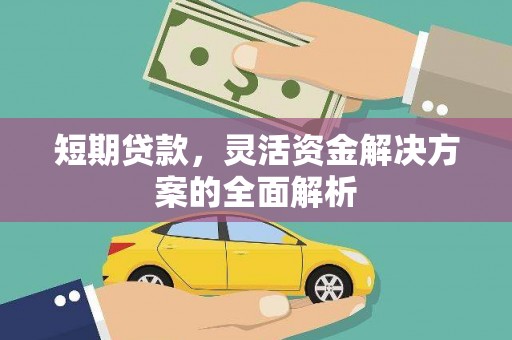 岫岩短期贷款，灵活资金解决方案的全面解析
