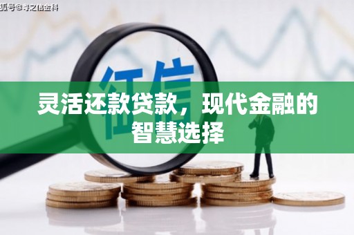 岫岩灵活还款贷款，现代金融的智慧选择