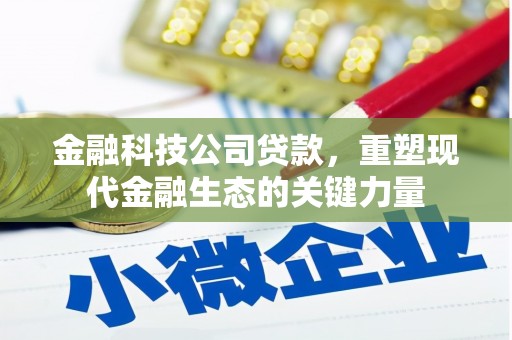 岫岩金融科技公司贷款，重塑现代金融生态的关键力量