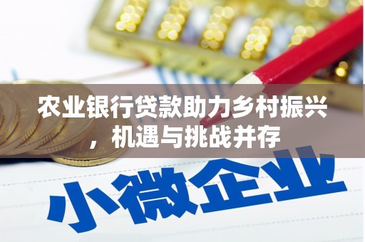 岫岩农业银行贷款助力乡村振兴，机遇与挑战并存
