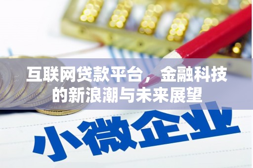 岫岩互联网贷款平台，金融科技的新浪潮与未来展望