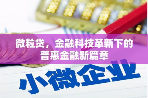 岫岩微粒贷，金融科技革新下的普惠金融新篇章
